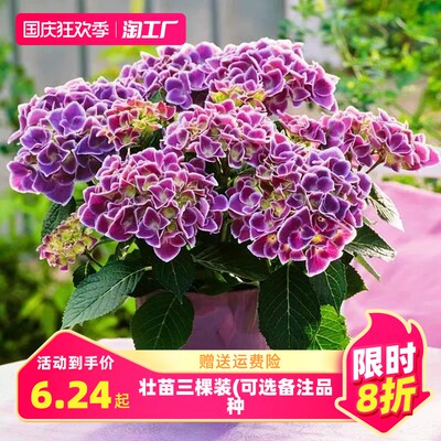 當(dāng)前網(wǎng)購(gòu)流行產(chǎn)品