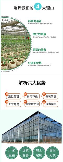 玻璃溫室DP-H 景農農業育苗玻璃大棚工程 花卉設計